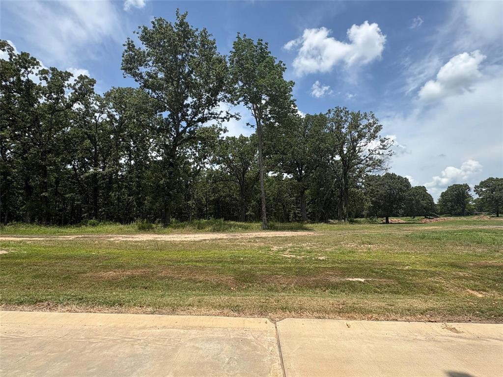 Heavenly Acres - Land