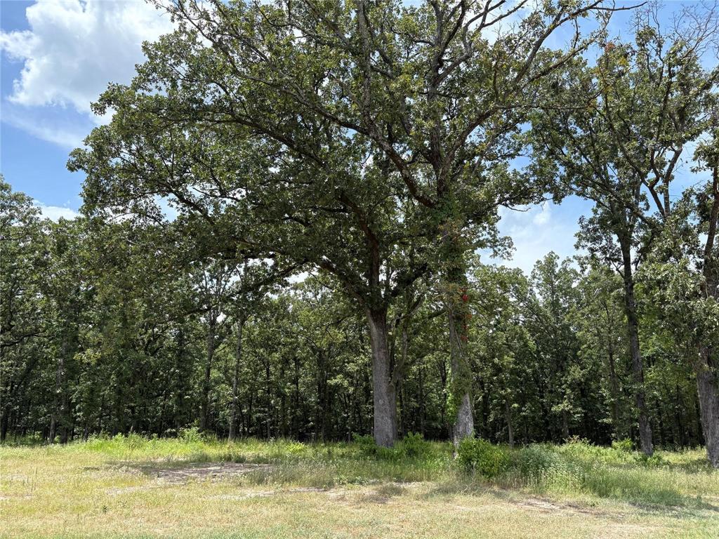Heavenly Acres - Land