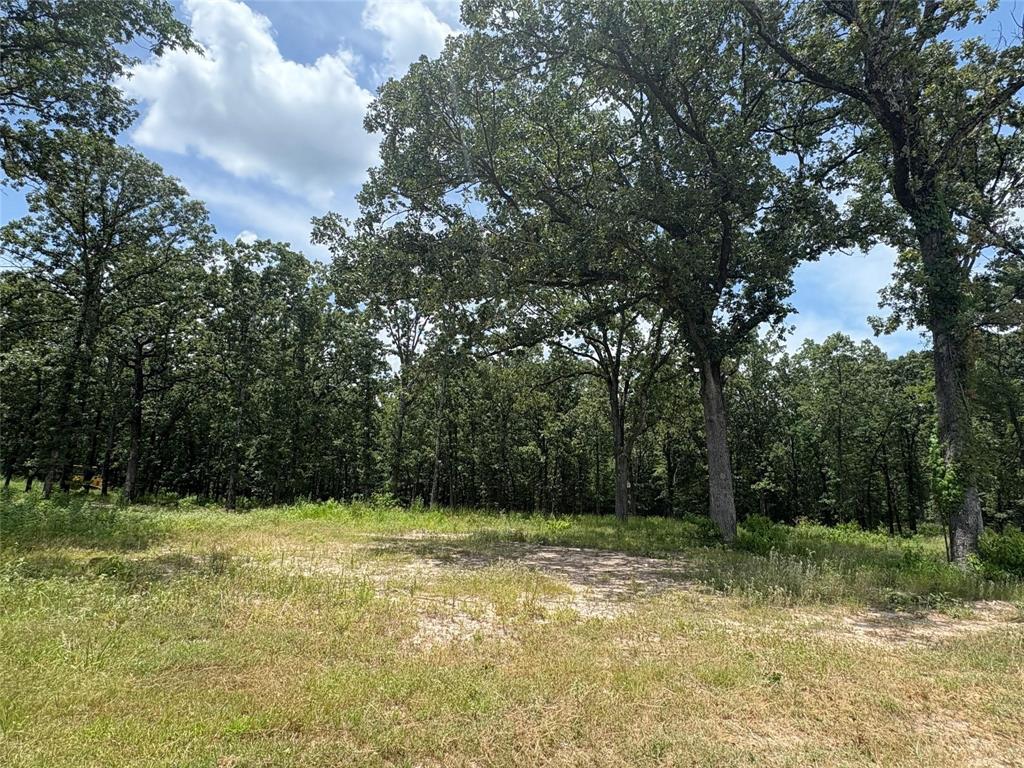 Heavenly Acres - Land
