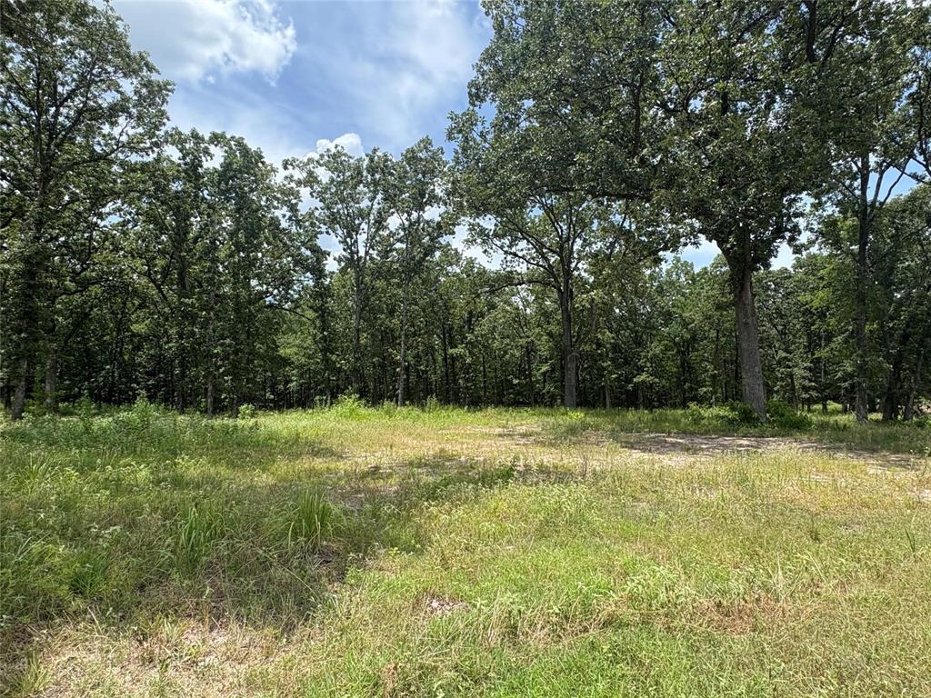 Heavenly Acres - Land