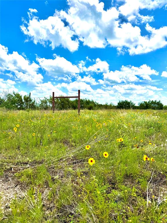Sunrise Mountain Ranch - Land