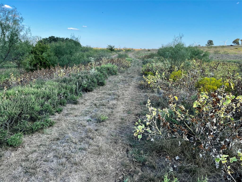 J W Mccomb Survey - Land