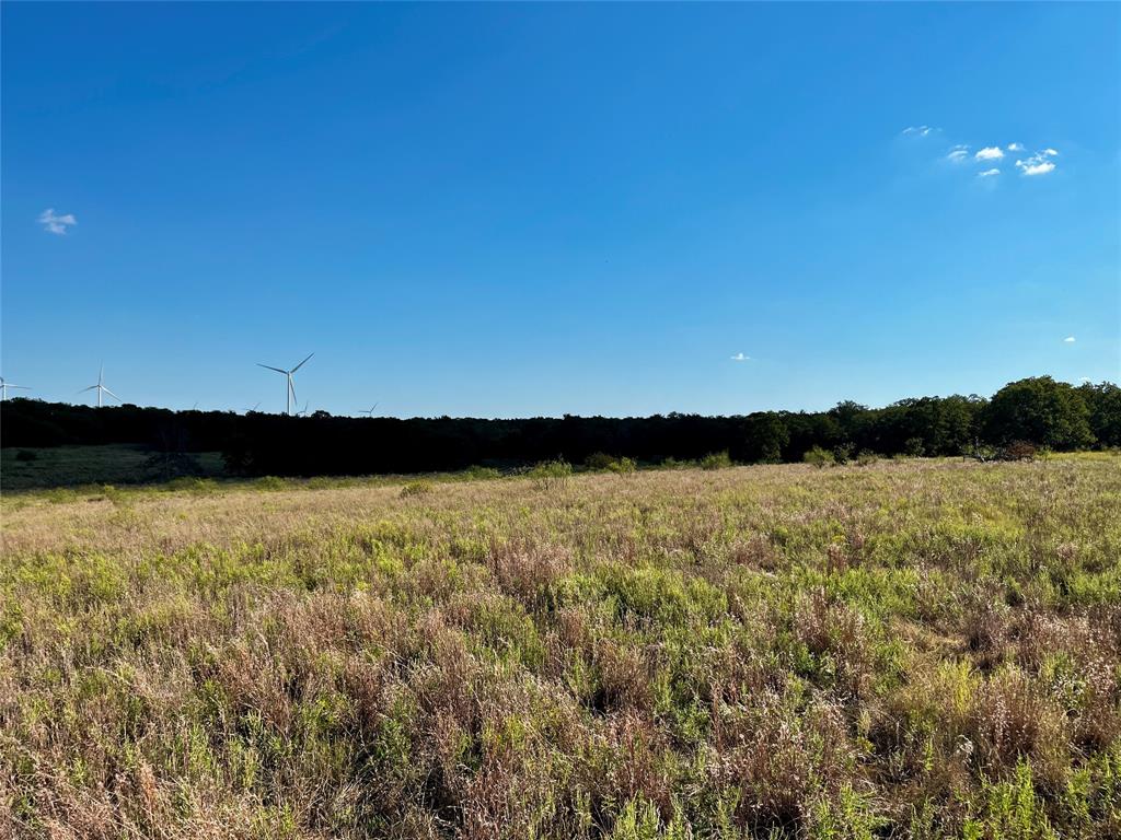 J W Mccomb Survey - Land