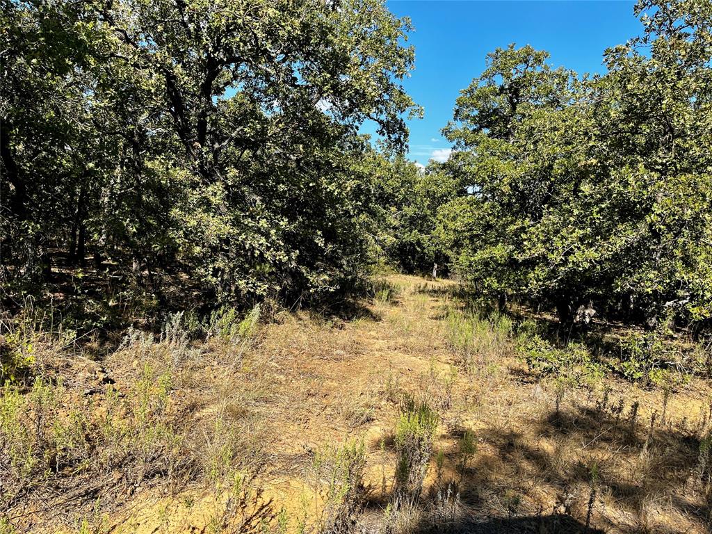 J W Mccomb Survey - Land