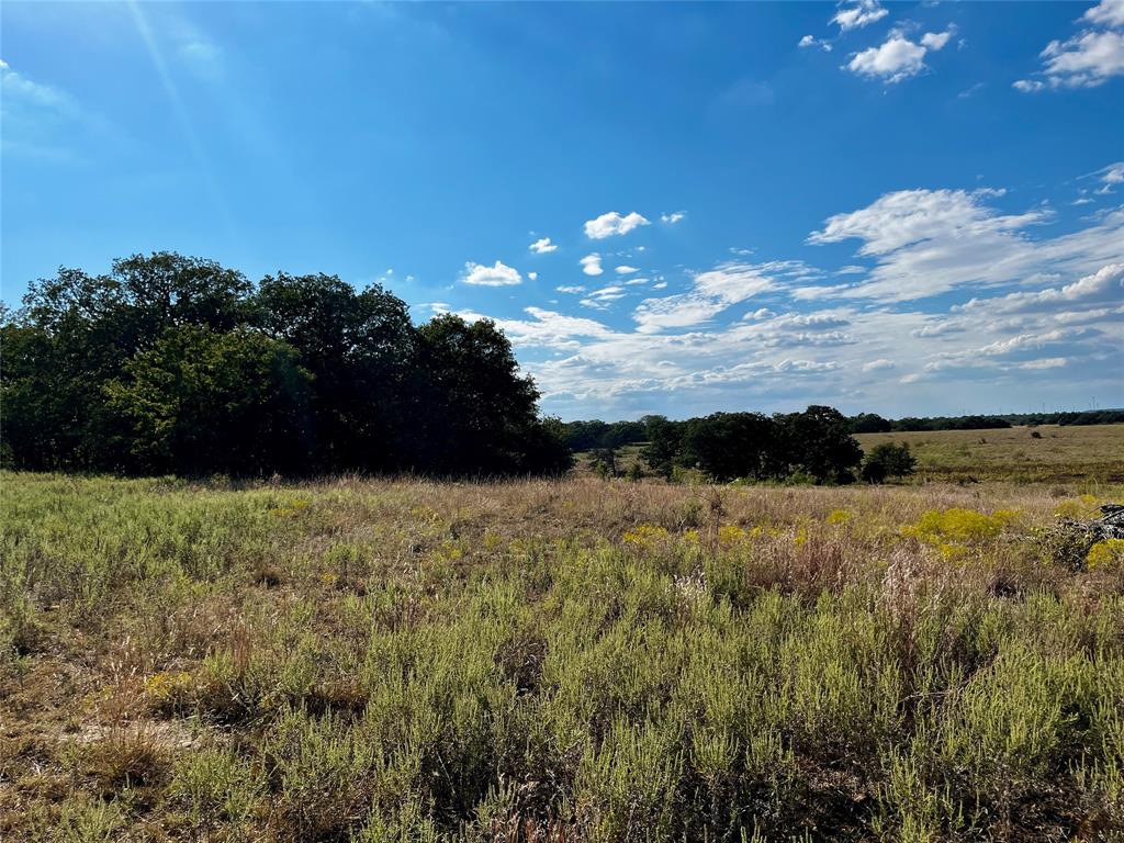 J W Mccomb Survey - Land