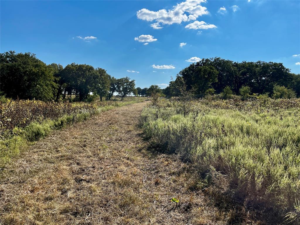 J W Mccomb Survey - Land