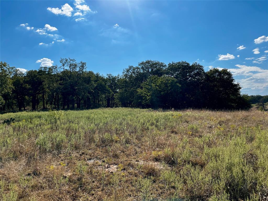 J W Mccomb Survey - Land