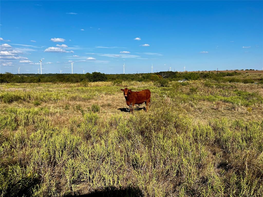 J W Mccomb Survey - Land