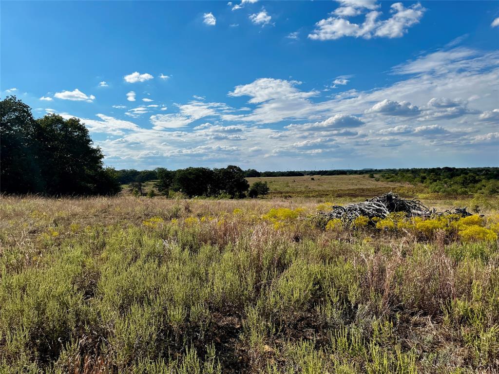 J W Mccomb Survey - Land