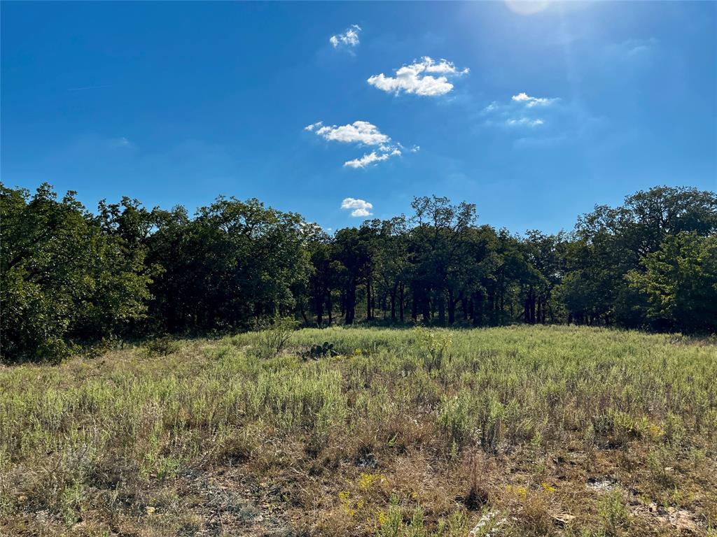 J W Mccomb Survey - Land