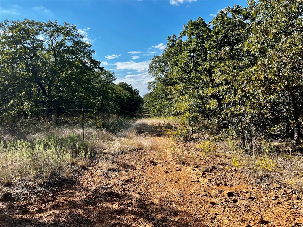 J W Mccomb Survey - Land