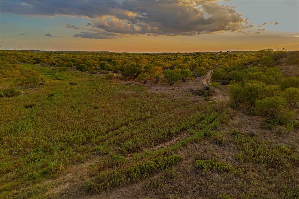 Rural - Land