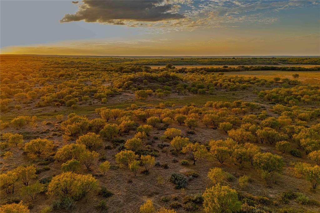 Welcome to Wylie Lake Ranch, located in the Rolling Plains region, combines agricultural capability, recreation, and investment value. All mineral rights to convey with the sale, including 22.5 percent of oil and gas royalties. The land includes a 5± acre stocked lake known as Wylie Lake, two additional tanks, and Deep Creek running through the center, providing both scenic beauty and reliable water resources.

The property supports abundant native wildlife including deer, turkey, quail, dove, and hogs. A network of internal roads and trails allows convenient access for vehicles, ATVs, or horseback riding. Approximately 95 acres are suitable for cultivation, offering potential for farming or leased agricultural use. Several outbuildings provide space for storage or ranch operations.

With rolling terrain, mixed pasture and wooded areas, and dependable surface water, this property offers a strong combination of recreational, agricultural, and long-term investment potential within the Central Texas Rolling Plains.