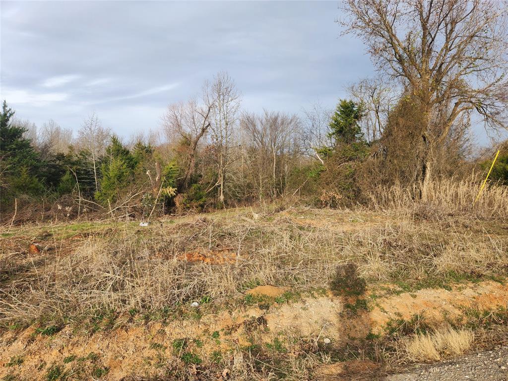 Land for sale in Hopkins County in Saltillo school district. Property is a beautiful mix of trees and open space. This gorgeous lot has water and electric available at the road. It is ready for your Home: Site Built, Mobile, Manufactured, Tiny or Barndominium. NO RESTRICTION ON TYPE OF HOME. Only light restrictions to maintain property values: Seller will be providing a brand new Plat Survey! Several lots available. Owner Financing available. Great opportunity - Call today for owner financing terms. Price is different if Owner Financing.
