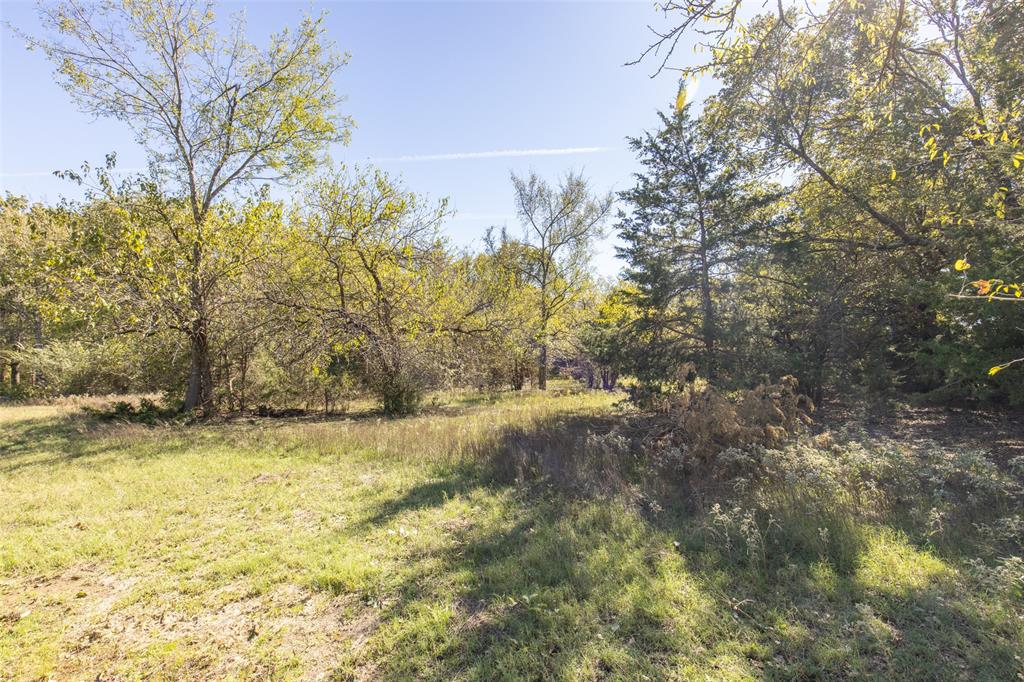 Rural 11 Acres - Land