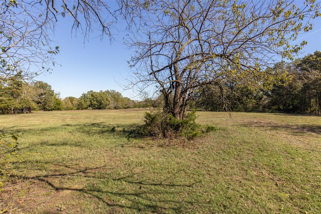 Rural 11 Acres - Land
