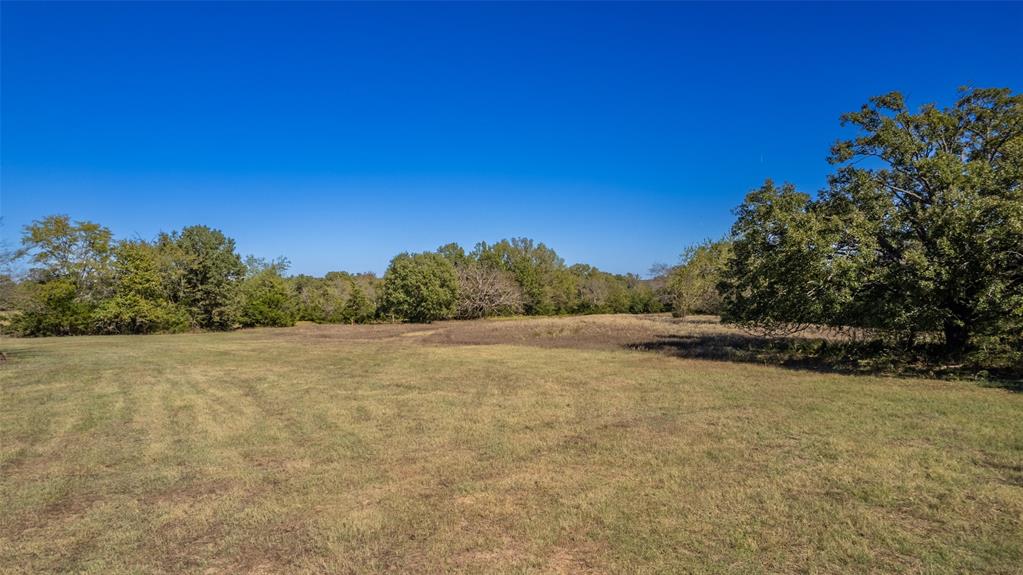 Rural 11 Acres - Land