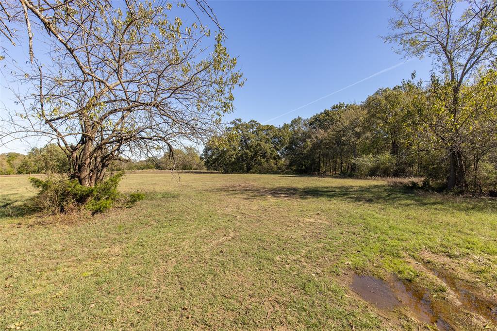 Rural 11 Acres - Land