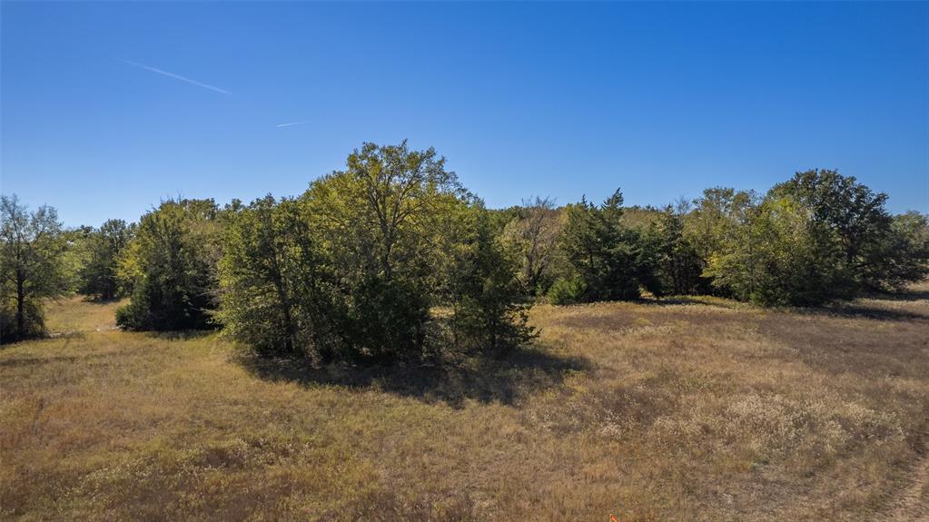 Rural 11 Acres - Land