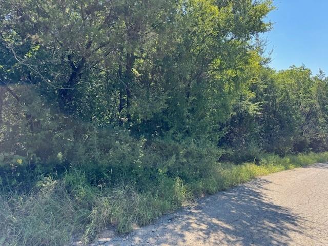 Great lot in Canyon Creek. Ready for you to build your dream home. Electric available. Septic lot.