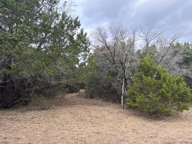 White Bluff #01 - Land