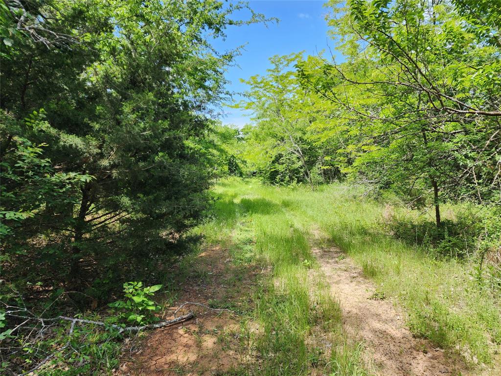 This property on Interstate 30 in Sulphur Springs is a unique piece of property and with multiple possibilities. The property is ideal for commercial up front and residential subdividing in the back. The property also has an abundance of large rock formations that also can produce income by harvesting the rocks and selling them.  The property has a total of 67.739 with approximately 1,200 linear ft on I30 service road.
