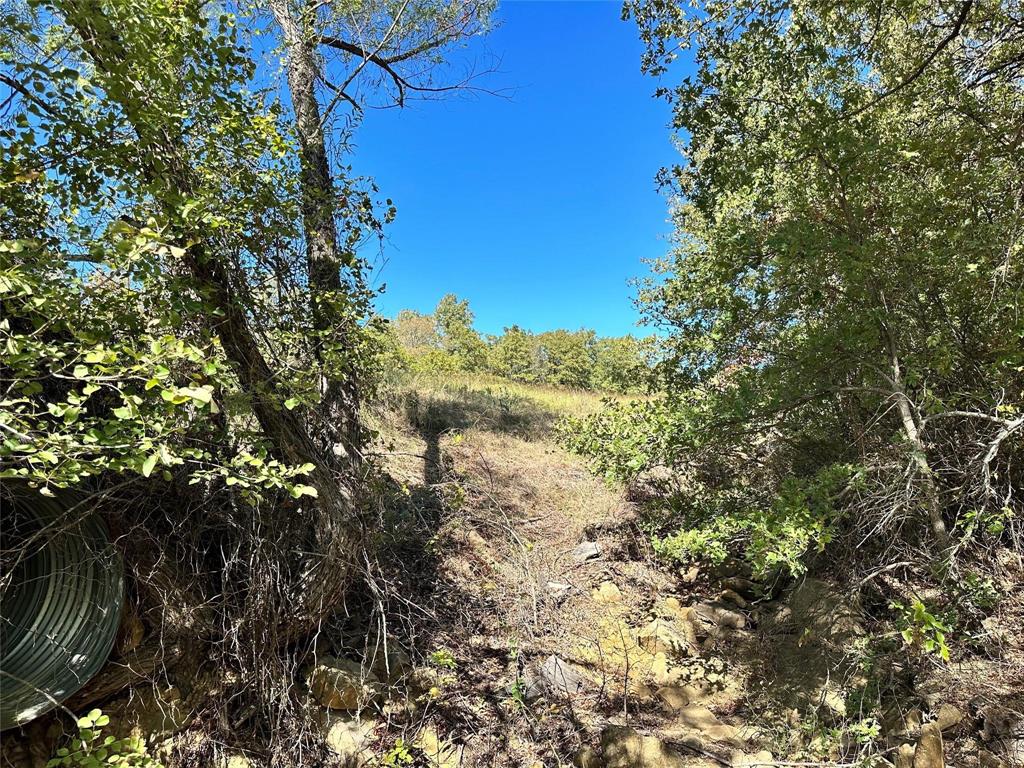 Silver Lakes Ranch - Land