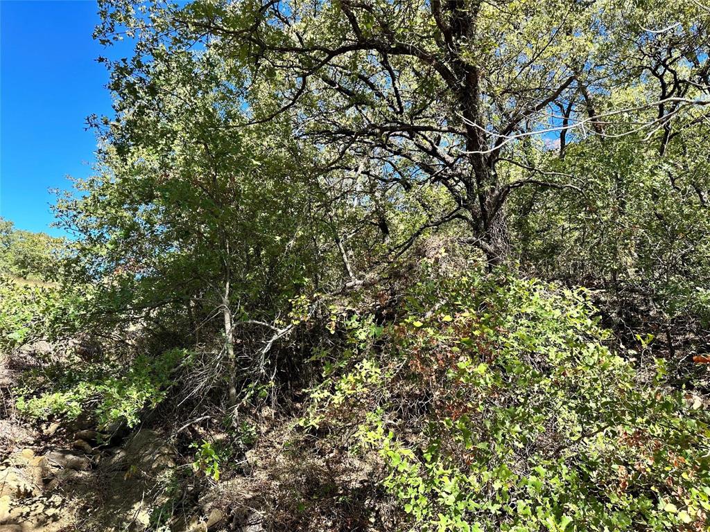 Silver Lakes Ranch - Land