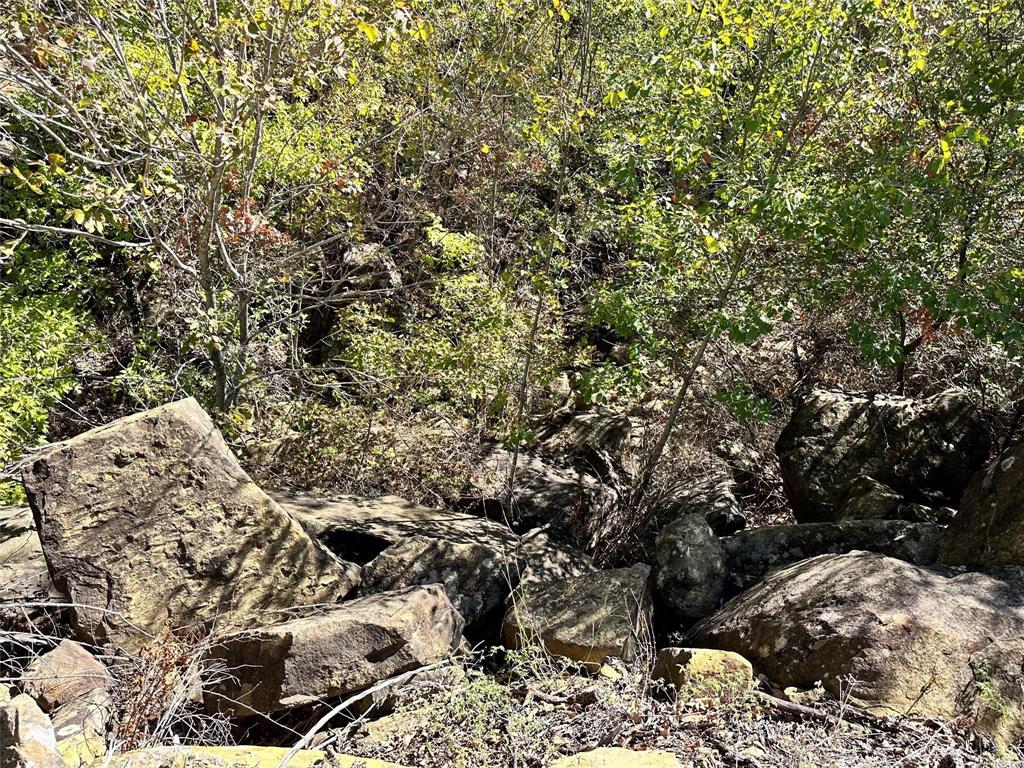Silver Lakes Ranch - Land