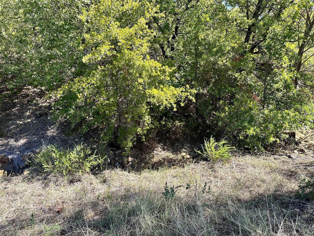 Silver Lakes Ranch - Land