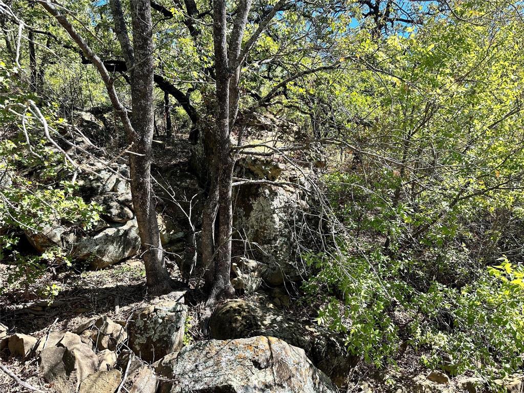 Silver Lakes Ranch - Land