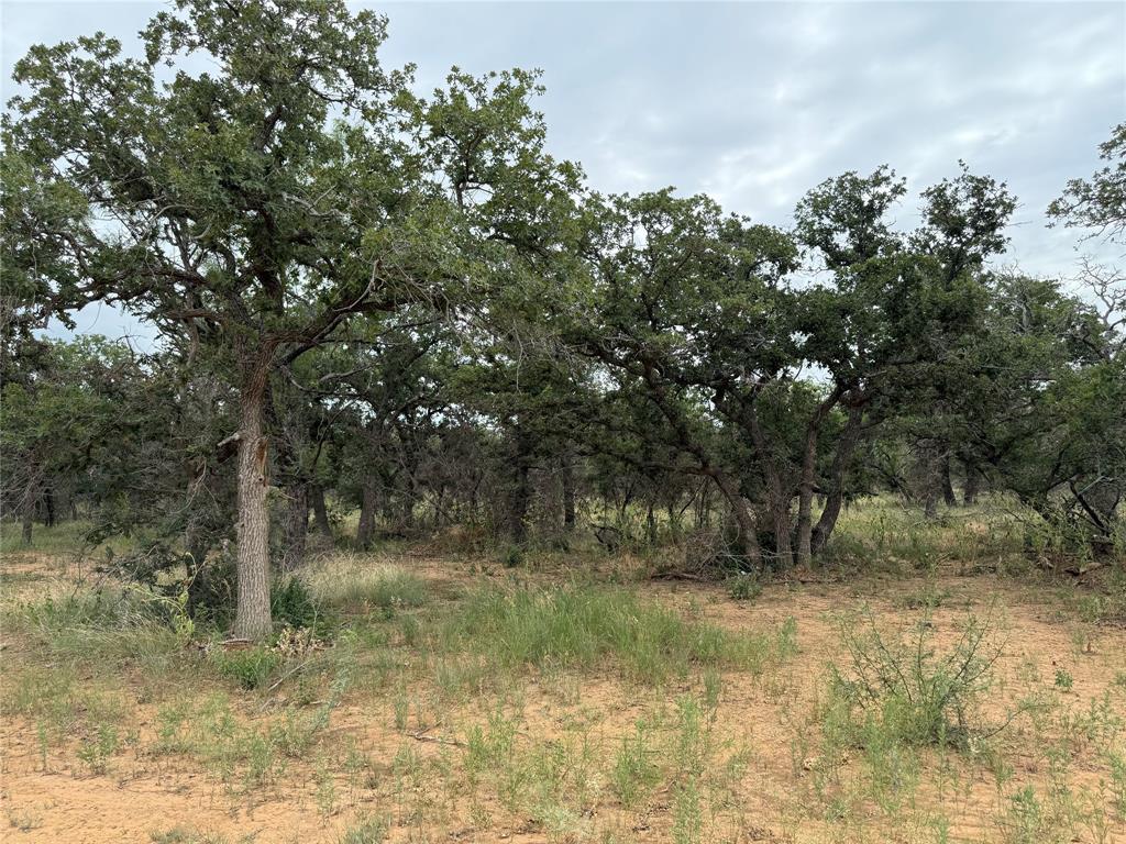 Legacy Estates Brownwood - Land