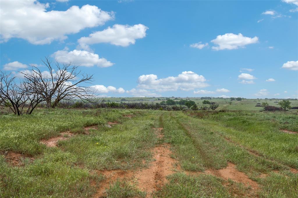 no - Farm