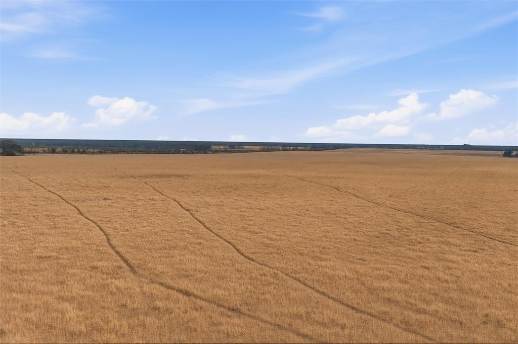 none - Land
