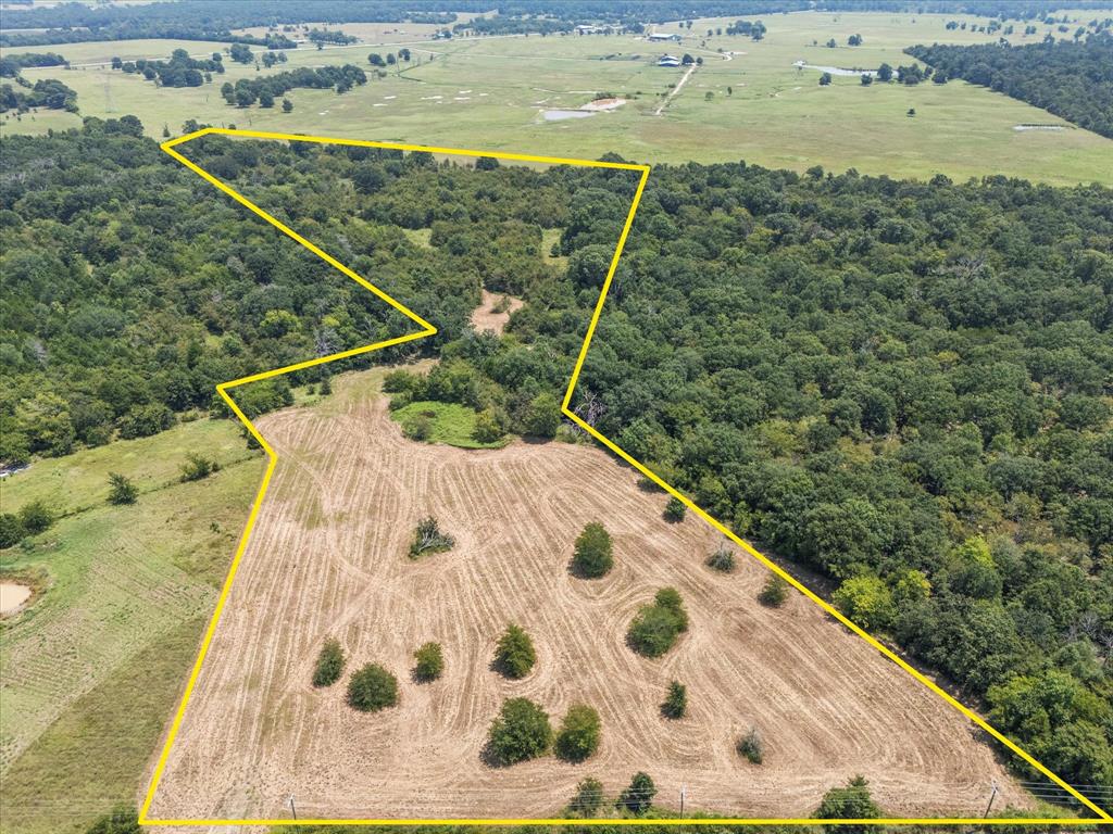 Discover the perfect rural escape with this ranch property nestled in the tranquil countryside of Ben Wheeler.  This 21.6 scenic acre property offers endless possibilities for enjoying the serene East Texas lifestyle!  Front parcel on FM 1653 consists of 6 mostly cleared acres with 575 feet of frontage in the desired Martins Mill ISD.  The rear 15.6 acres of rolling terrain is wooded and makes for a nature lover's sanctuary with deer and other wildlife habitat.  This peaceful East Texas setting is only 15 minutes to Canton!  Make this slice of Texas your home or weekend escape!