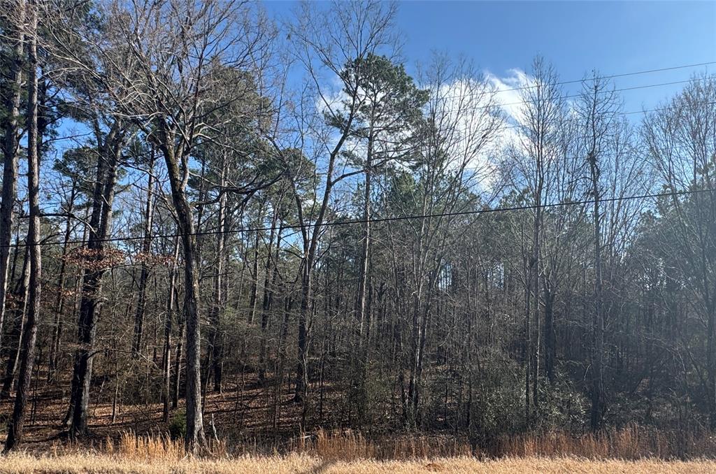 Rural - Land