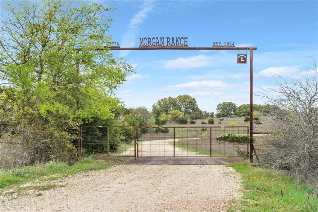 Welcome to Morgan Ranch, a 252-acre property located on Dan Morgan Rd providing over 100 feet of elevation change and rolling terrain throughout. The varied topography creates multiple elevated points across the land, providing long-range views and a well-balanced layout.
The property features a stocked pond, numerous mature live oak trees, and abundant wildlife. Surrounded by farmland, the ranch provides privacy and open views in every direction. With its size, elevation changes, water feature, and established tree cover, this property presents a strong combination of usable land and natural features in a quiet rural setting.
Contact us today for more information or to schedule a private tour of Morgan Ranch!