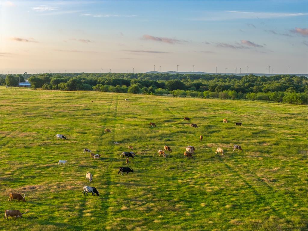 None - Land