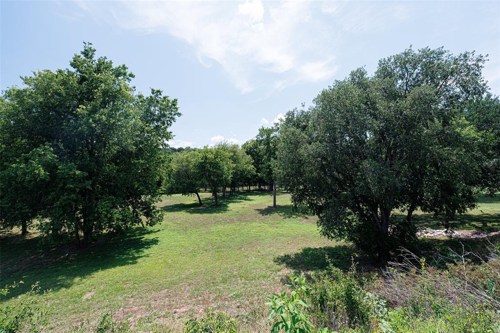 Pecan Plantation - Land