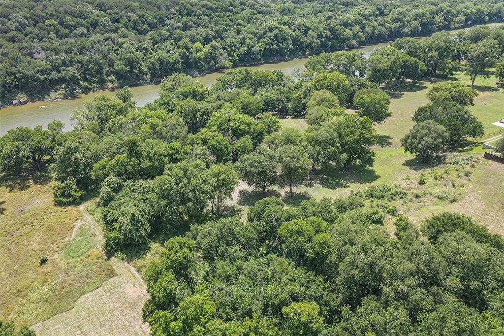 Pecan Plantation - Land