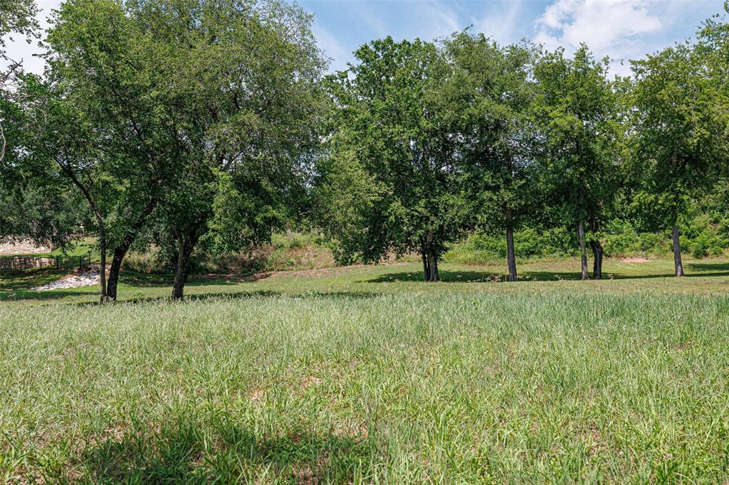 Pecan Plantation - Land