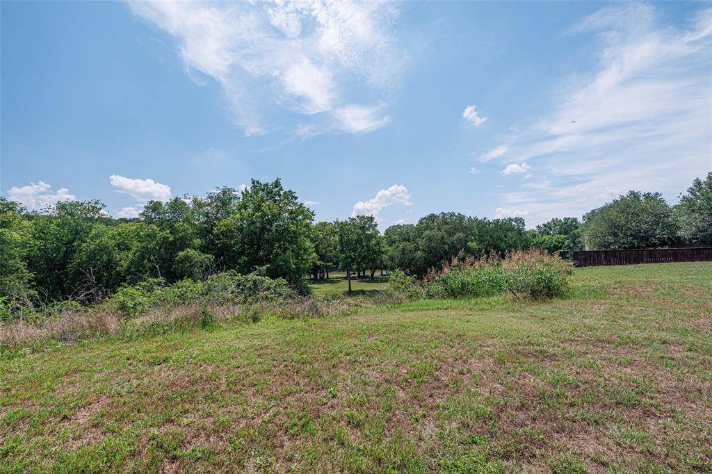 Pecan Plantation - Land