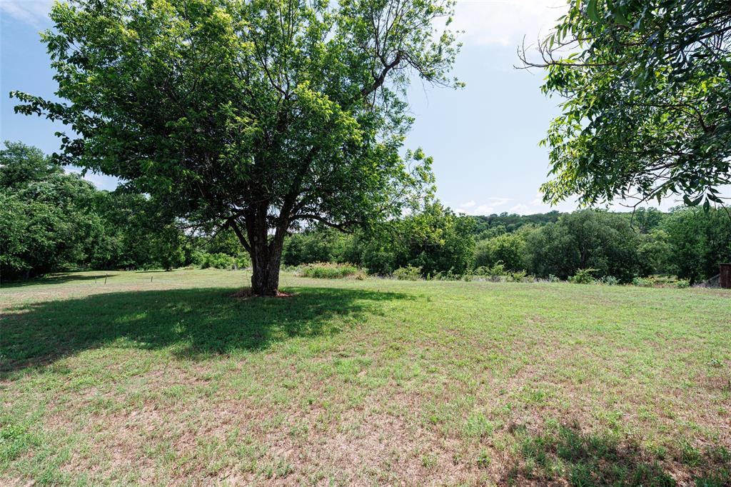 Pecan Plantation - Land