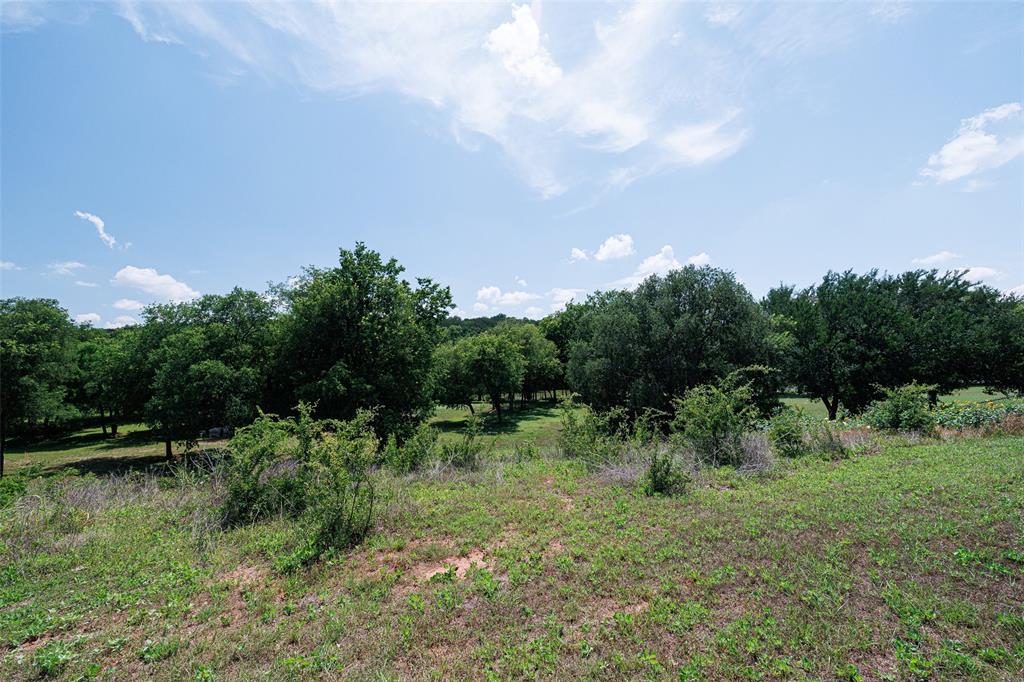 Pecan Plantation - Land