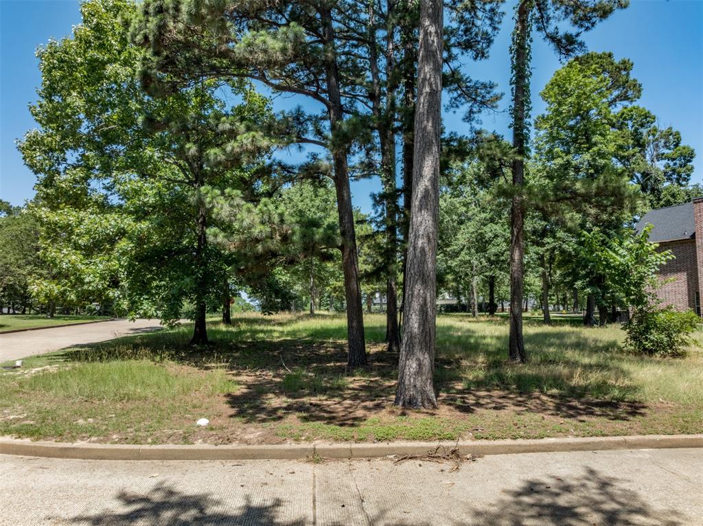 Eagles Bluff - Land