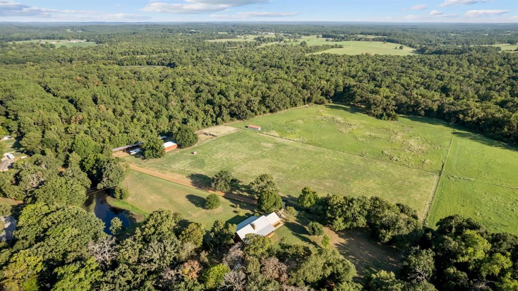 -- - Farm