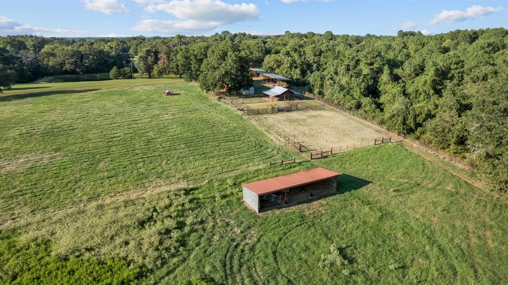 -- - Farm
