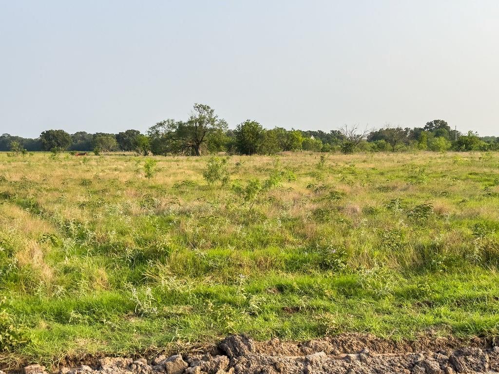 ELM BRANCH - Land