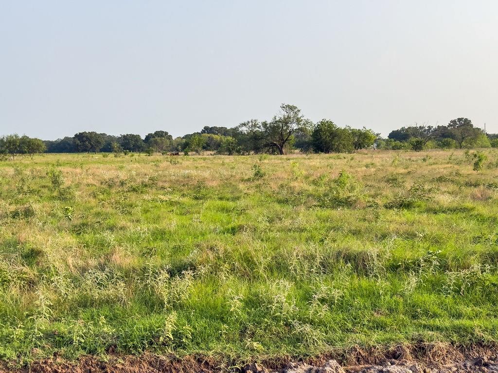 ELM BRANCH - Land