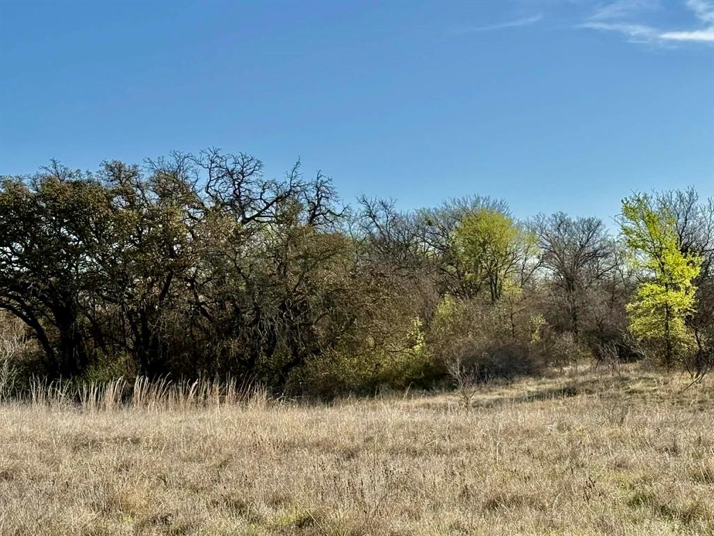 The Ranches At Comanche Valley - Land